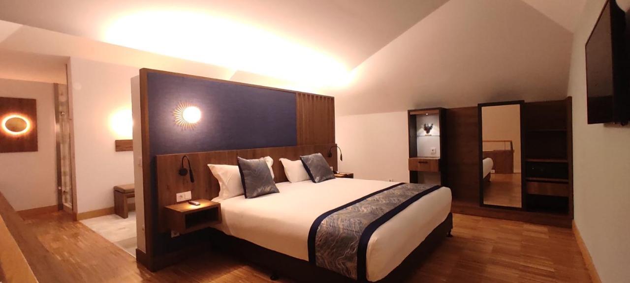 Hotel Villa Odon Вильявисьоса-де-Одон Экстерьер фото